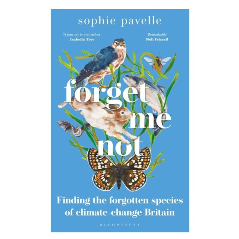 Forget Me Not - Sophie Pavelle - PTES Shop