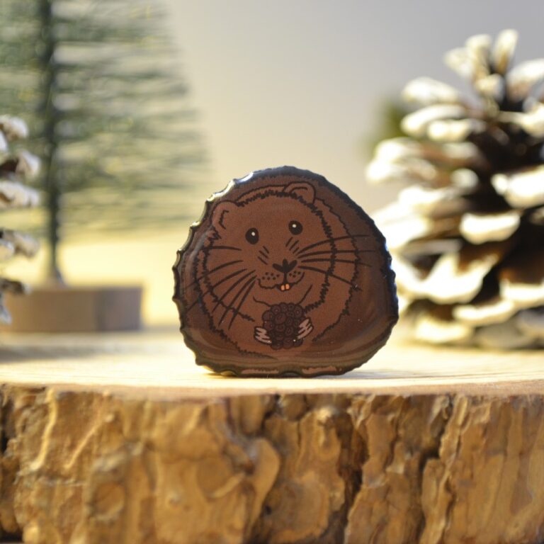 Water vole pin badge - PTES Shop