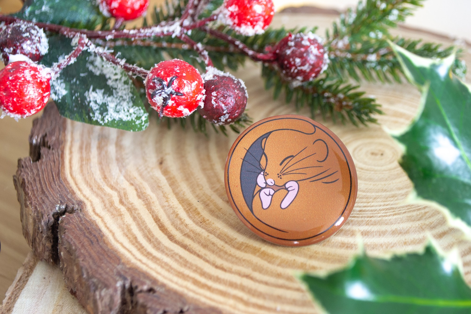 Dormouse pin badge - People's Trust for Endangered Species