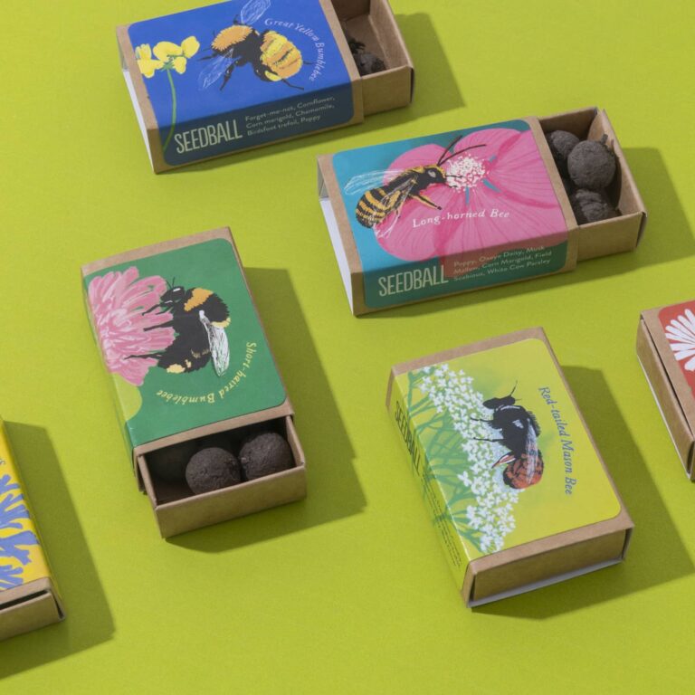 Wildflowers-for-bees Collection Box -Seedball - People's Trust for Endangered Species