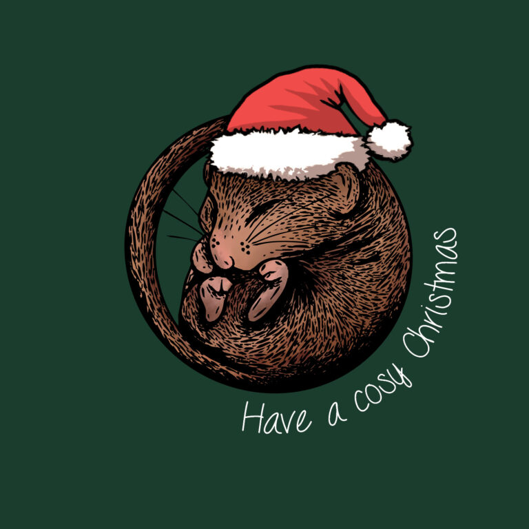 Dormouse Christmas card 2025 People's Trust for Endangered Species