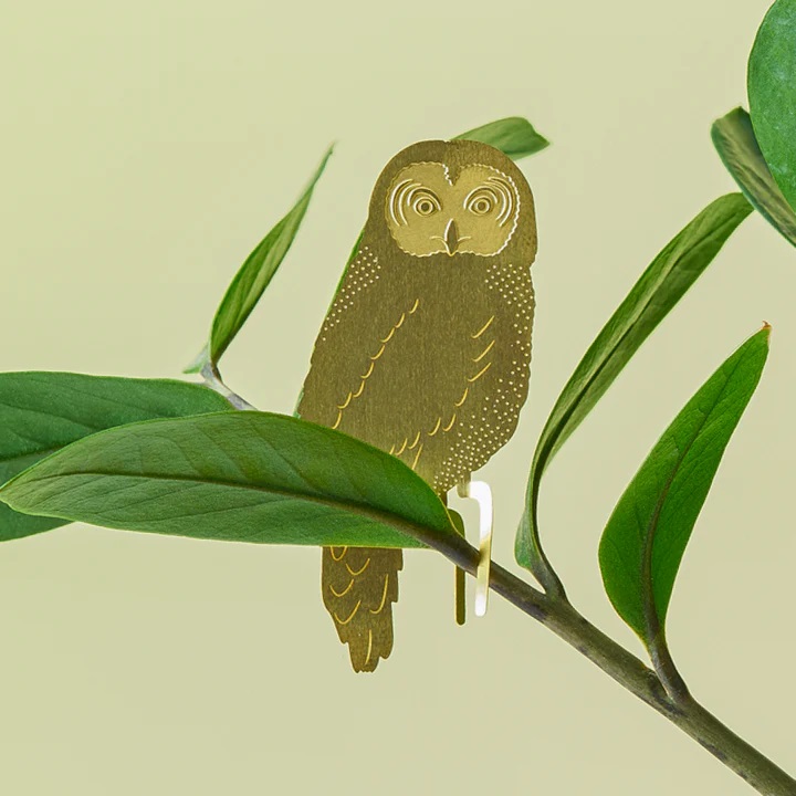 owl-plant-animal-decoration-plant-gift-another-studio_720x