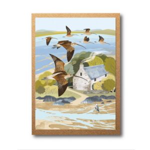 Greeting Cards