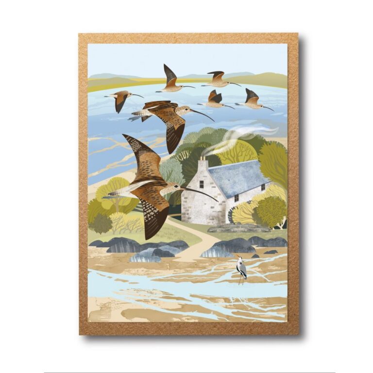 Curlews at Loch Crinan Greetings Card - Rachel Hudson People's Trust for Endangered Species